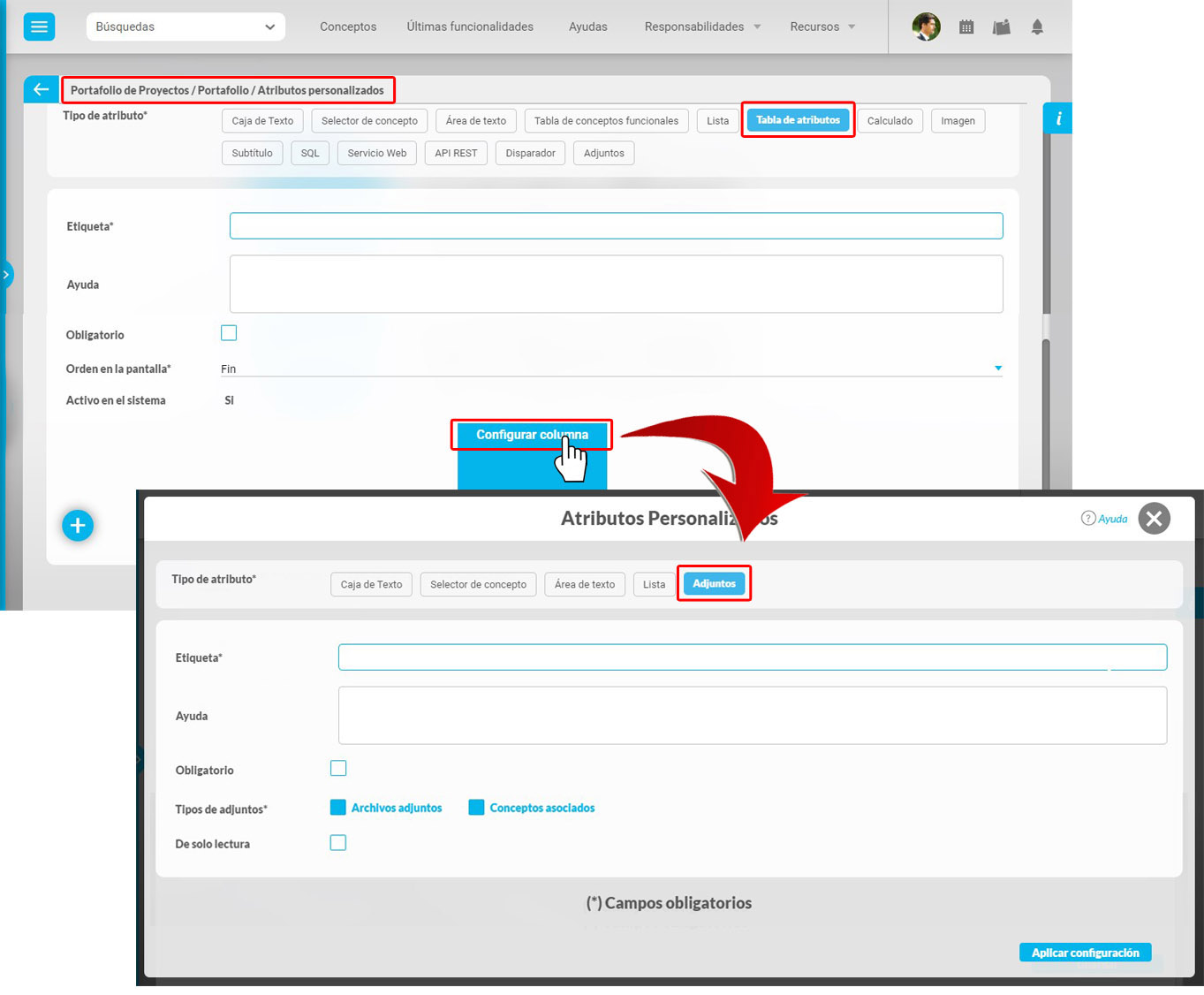 atributos adjuntos.jpg