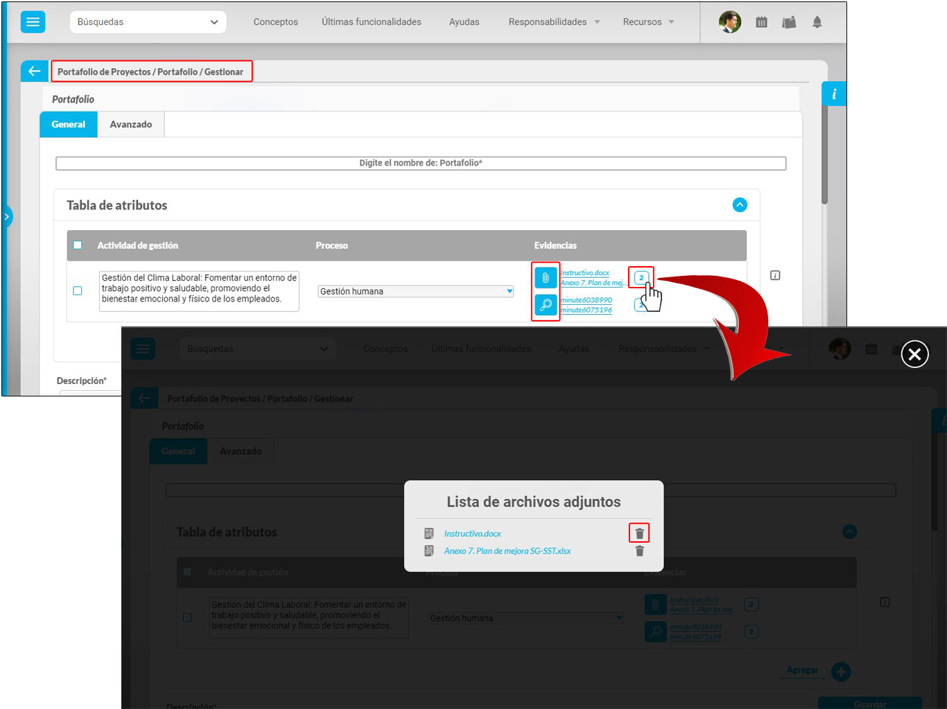 atributos adjuntos4.jpg